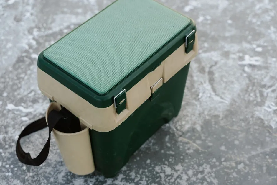 Tahoe Rental Bear Food Storage: A Guest's Plan